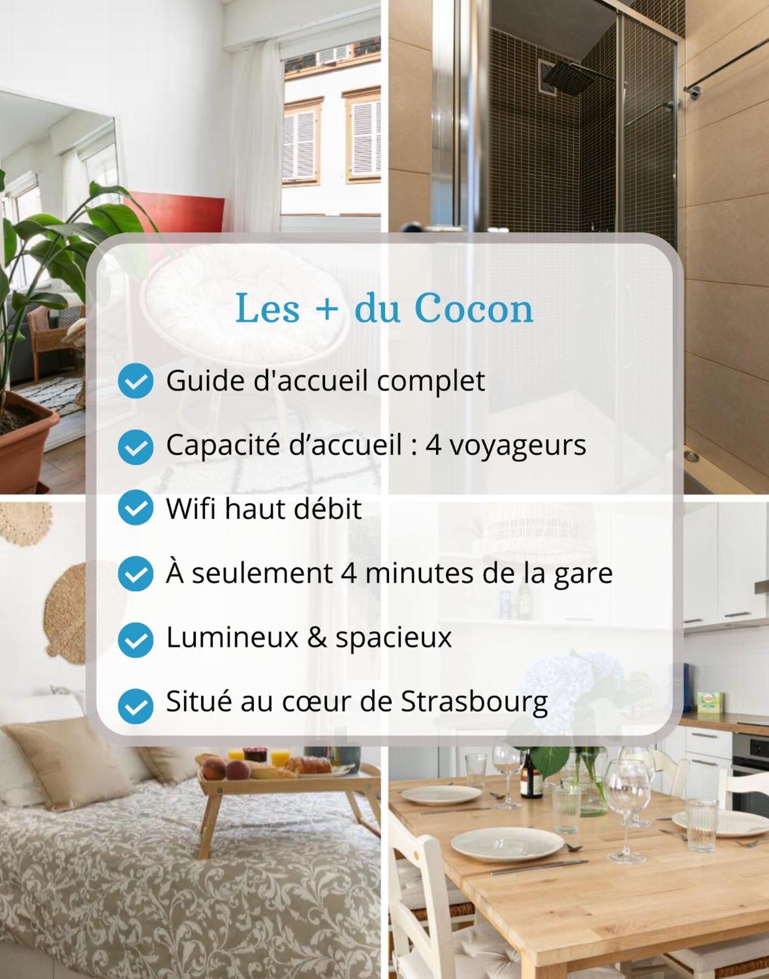 Le Cocon - Proche Gare - Lumineux & Centre Ville - Commerces A Proximite Страсбург Экстерьер фото